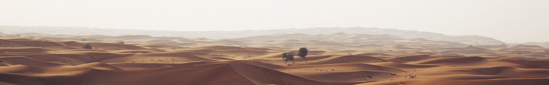 ݳ̿ܵ޹˾